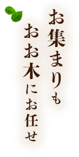 お集まりもおお木にお任せ